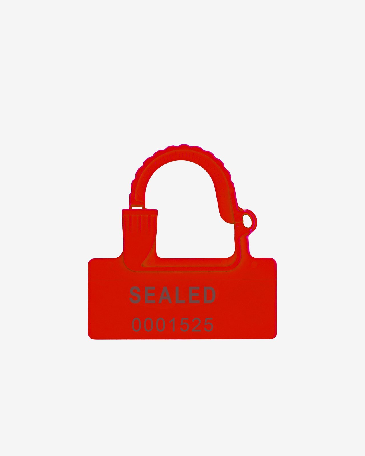 One Piece Padlock Seal