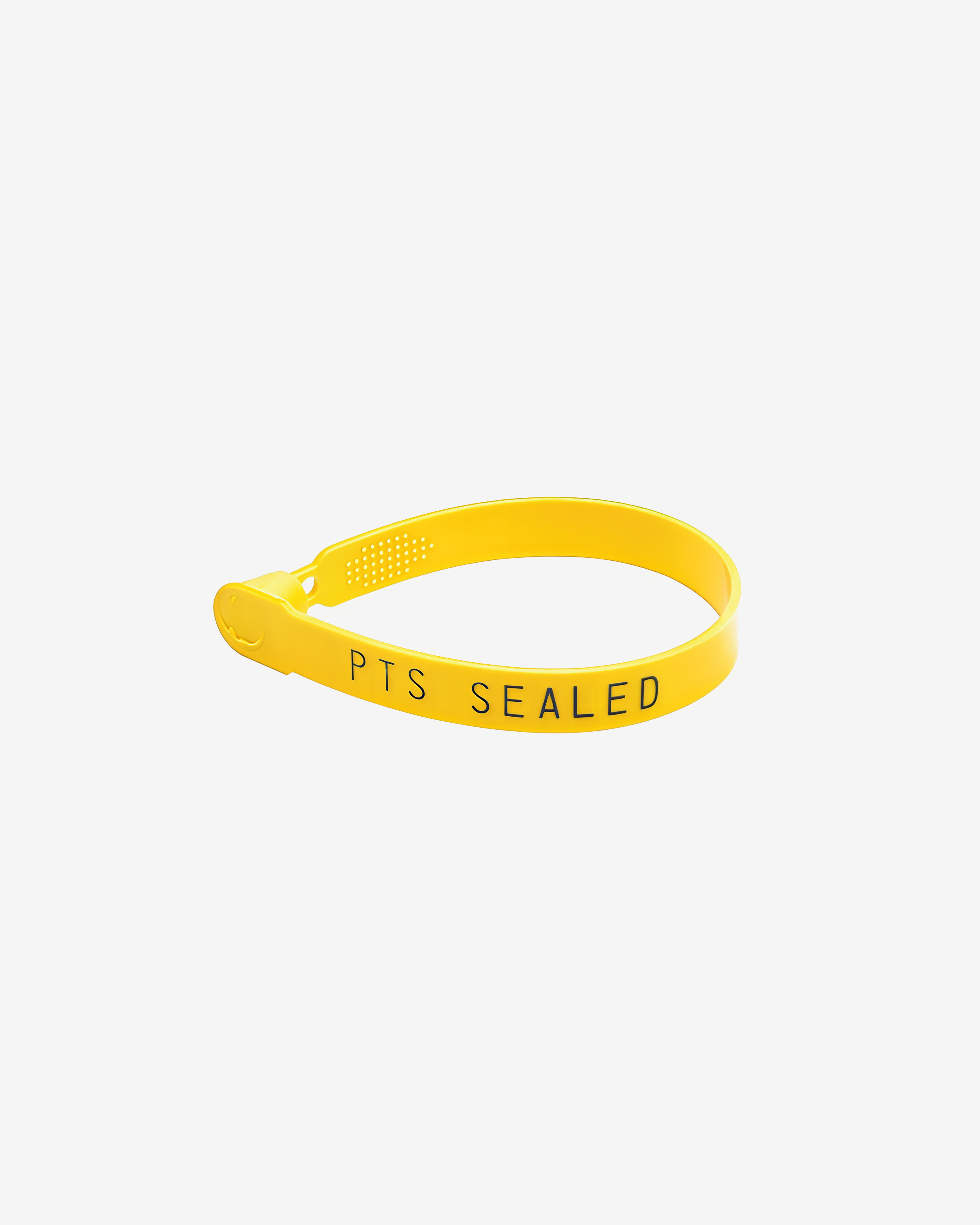 Plastic Truck Seal Yellow (PTS Seal)